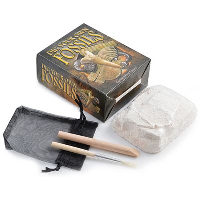 Dig Your Own Fossils Gift Box